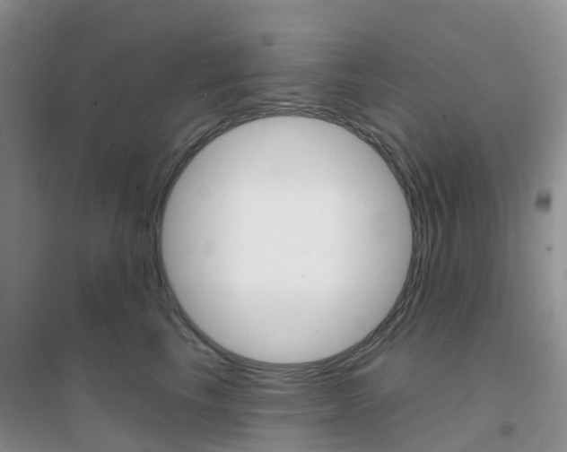 X0000096950665200802080922