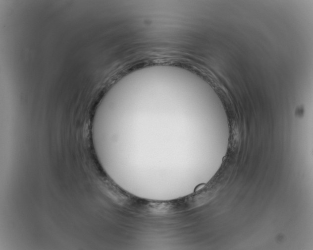 X0000096950667200802080922