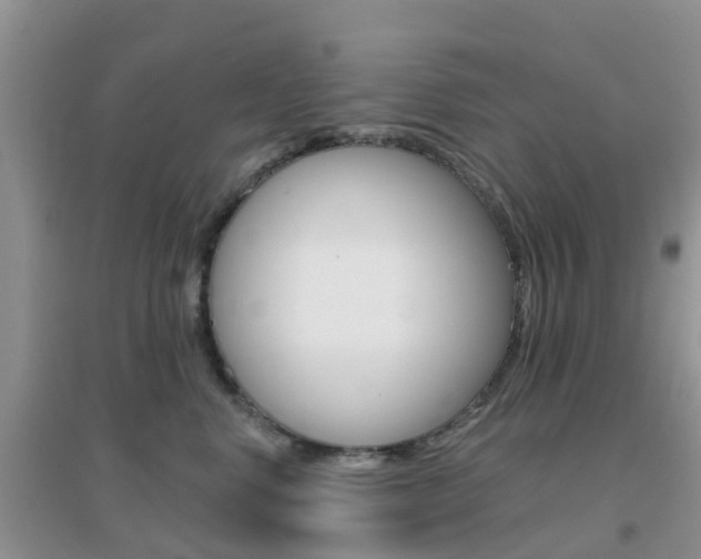 X0000096950668200802080922