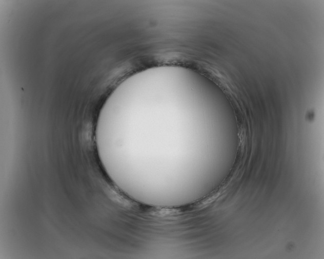 X0000096950670200802080922