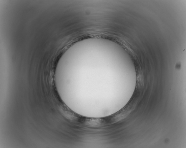 X0000096950671200802080922