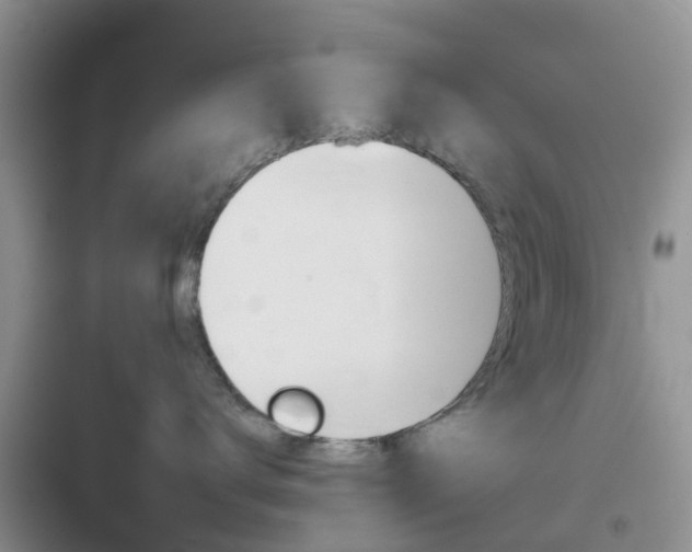 X0000096950672200802080922