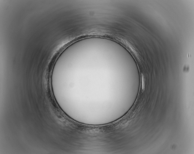 X0000096950675200802080921