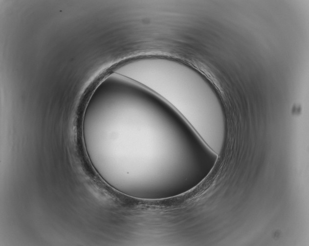 X0000096950676200802080921