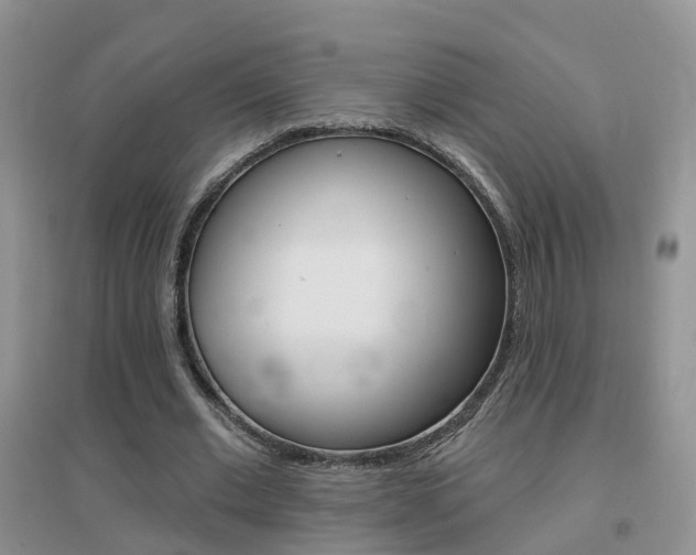 X0000096950677200802080921