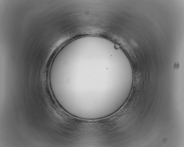 X0000096950679200802080921