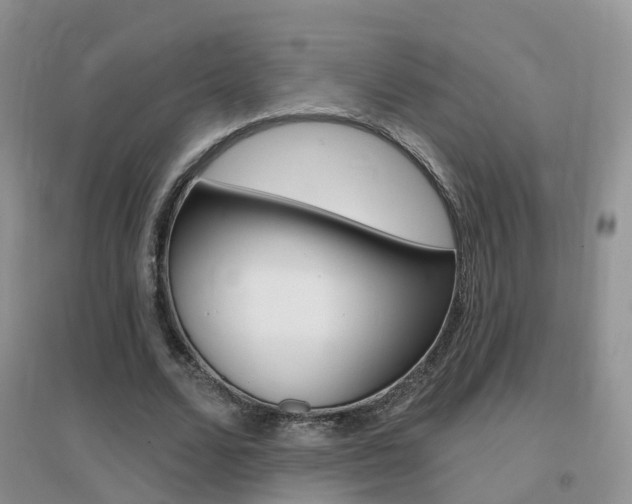 X0000096950680200802080921