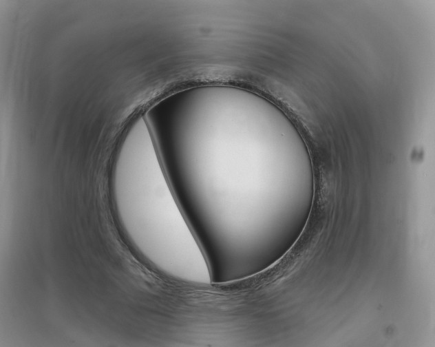 X0000096950681200802080921