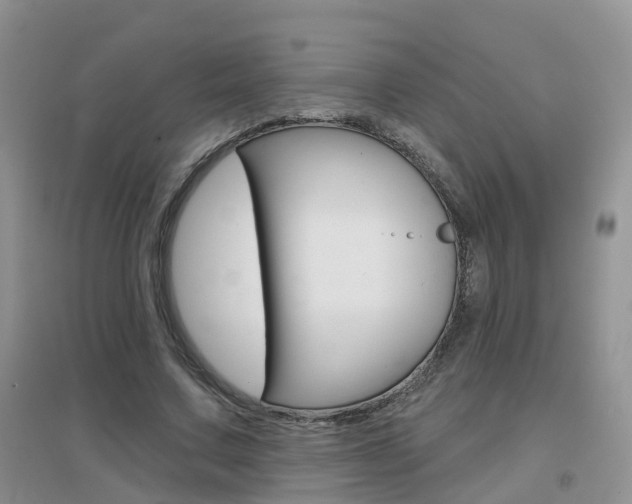 X0000096950683200802080921