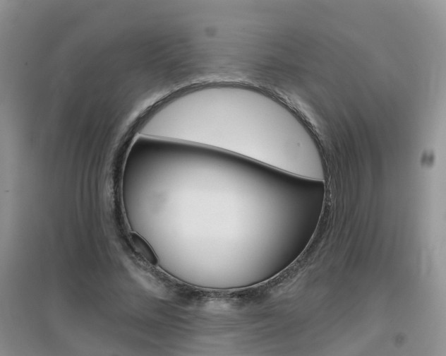 X0000096950684200802080921