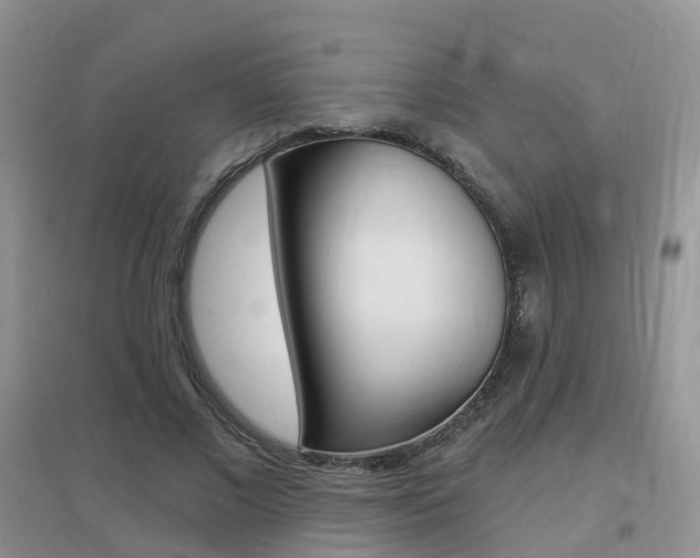 X0000096950685200802080921
