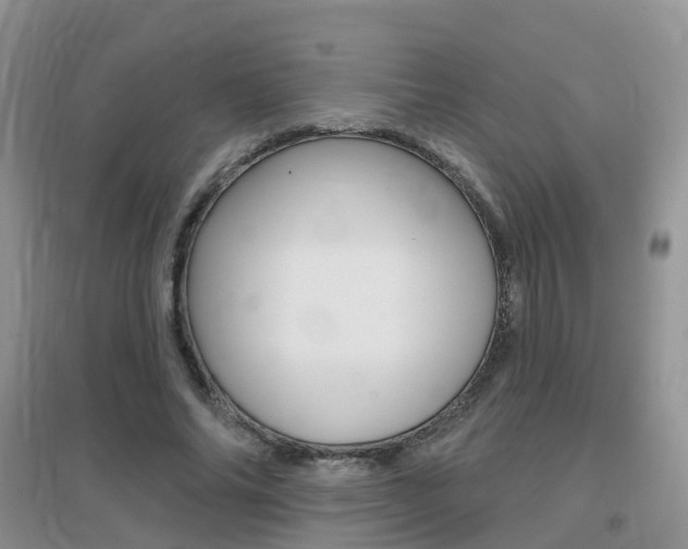 X0000096950686200802080921