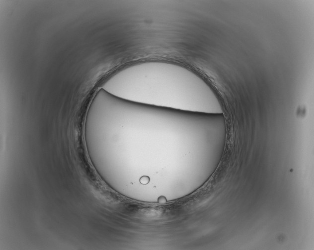 X0000096950687200802080921
