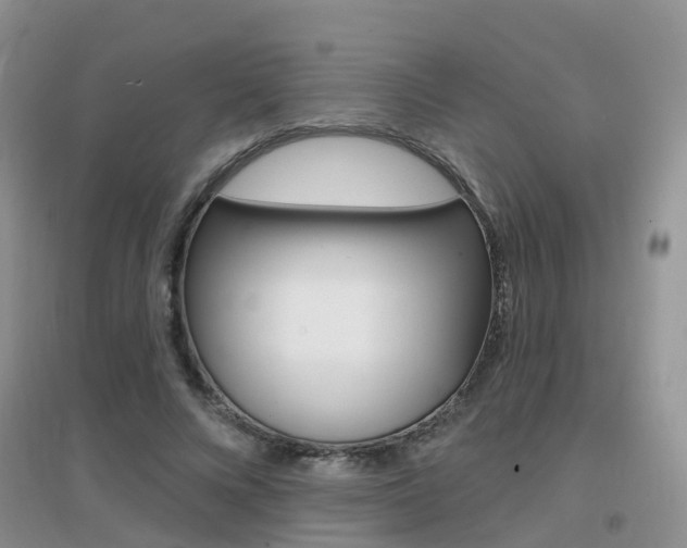 X0000096950688200802080921