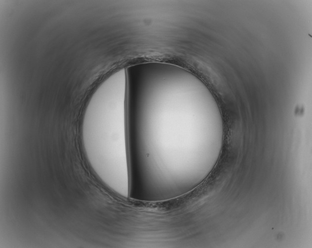 X0000096950689200802080921