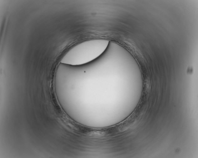 X0000096950691200802080921