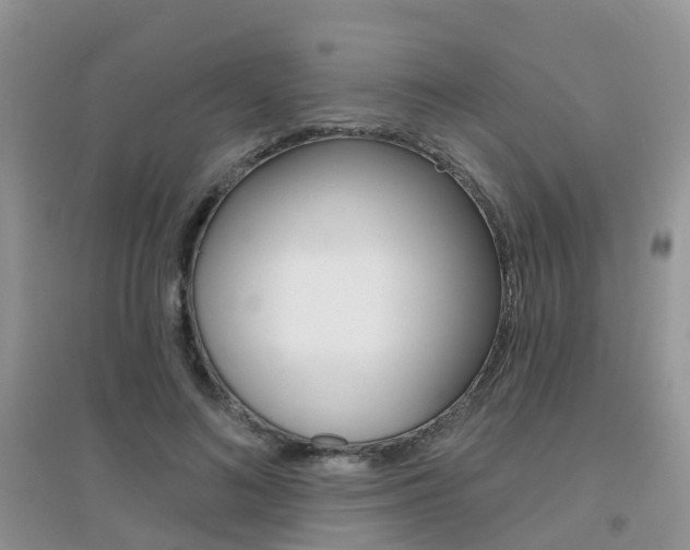 X0000096950692200802080921