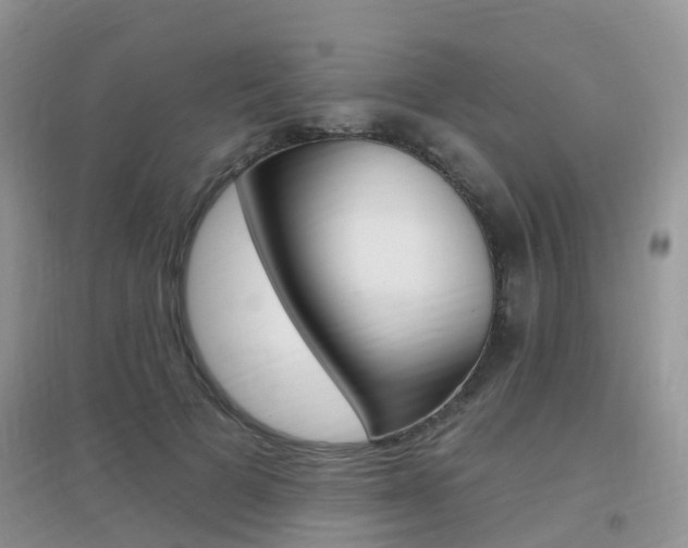 X0000096950697200802080921