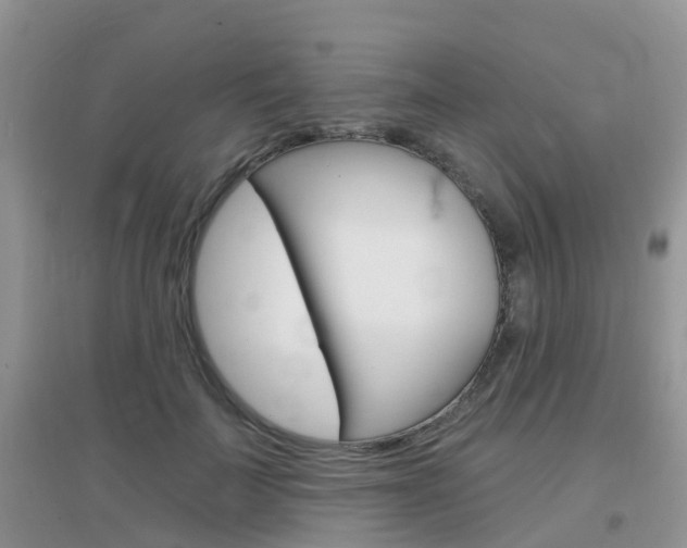 X0000096950699200802080921