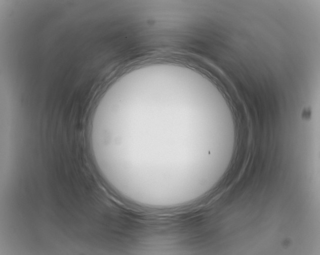 X0000096950701200802080921