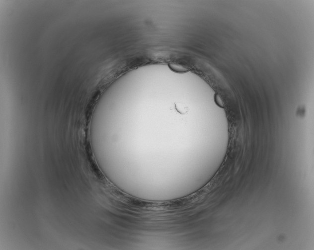 X0000096950702200802080921