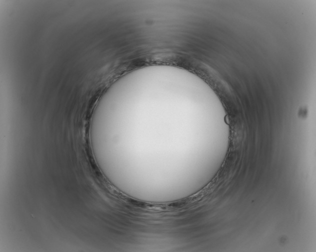 X0000096950703200802080921