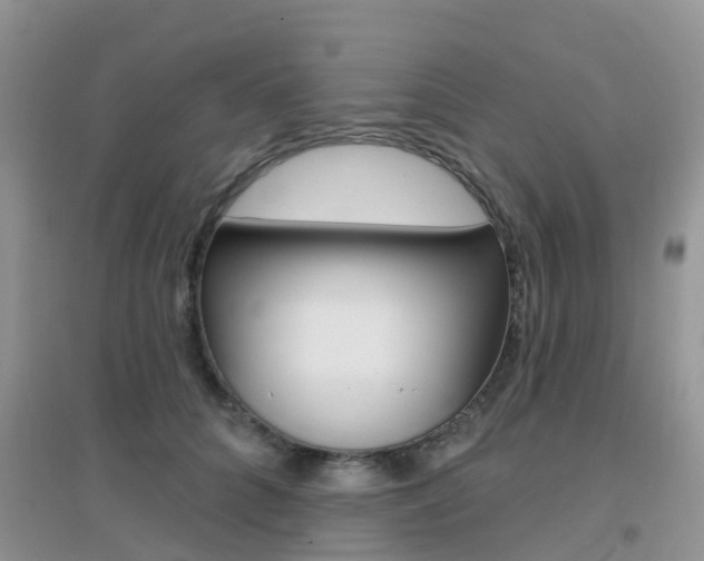 X0000096950704200802080921