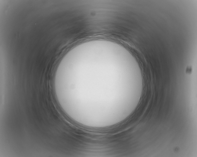 X0000096950705200802080921