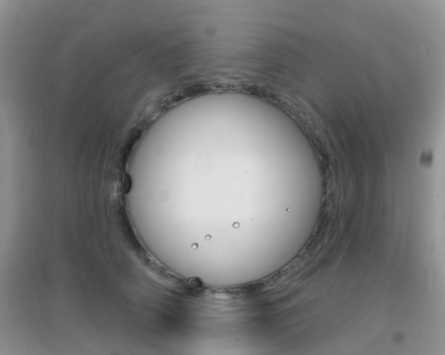 X0000096950706200802080921