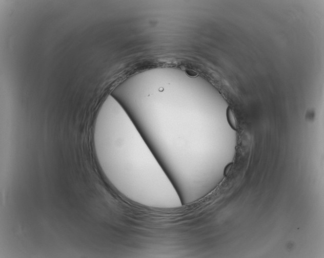 X0000096950707200802080921