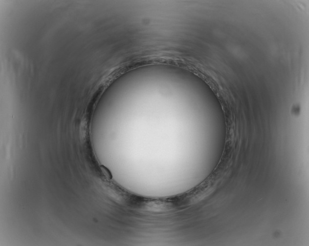 X0000096950708200802080921
