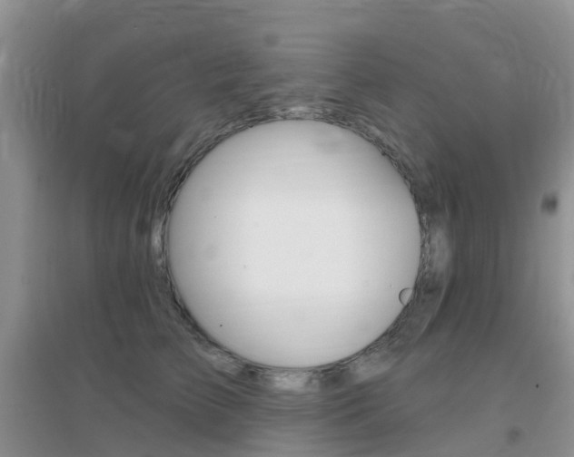 X0000096950709200802080921