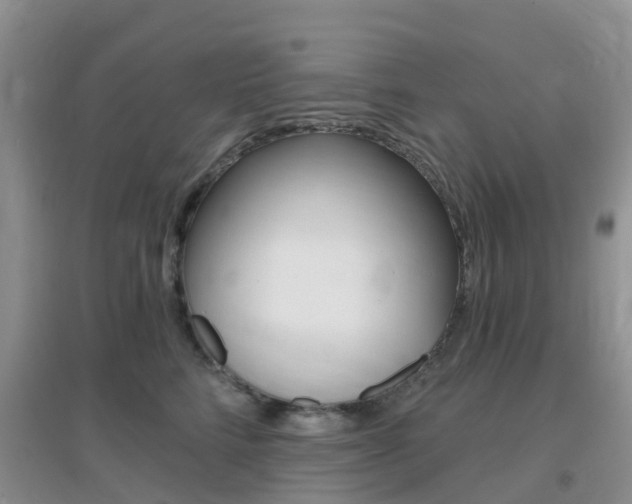 X0000096950712200802080921