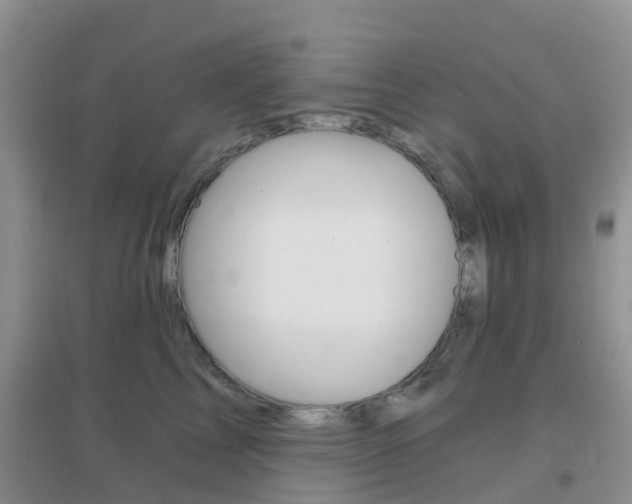 X0000096950713200802080921