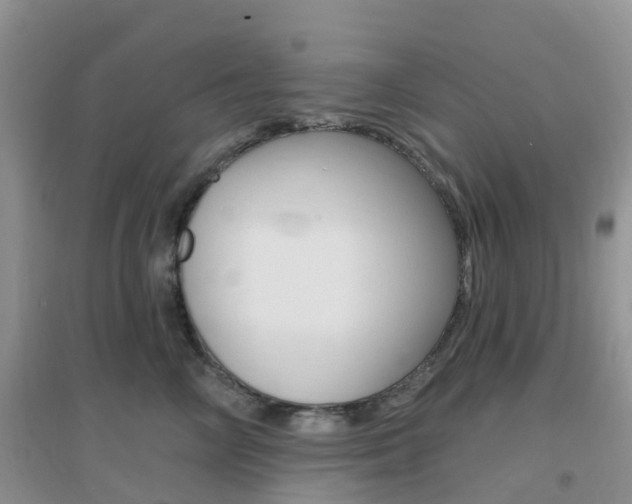 X0000096950714200802080921