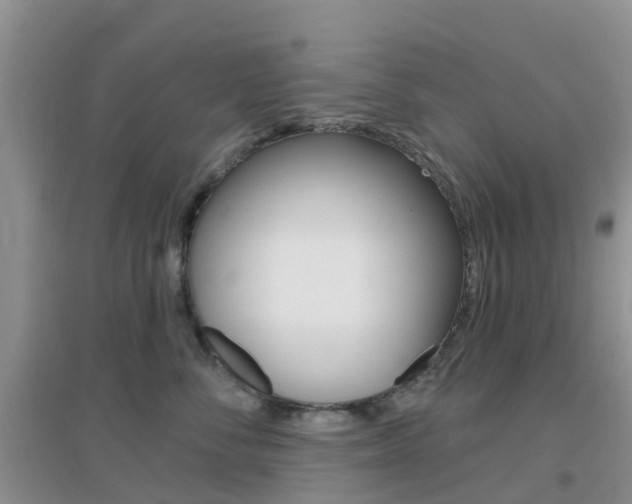 X0000096950716200802080921