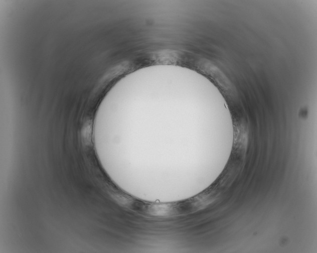 X0000096950717200802080921
