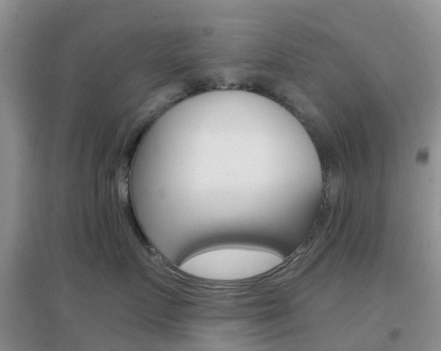 X0000096950719200802080921