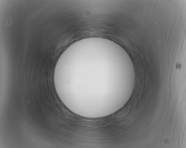 X0000096950720200802080921