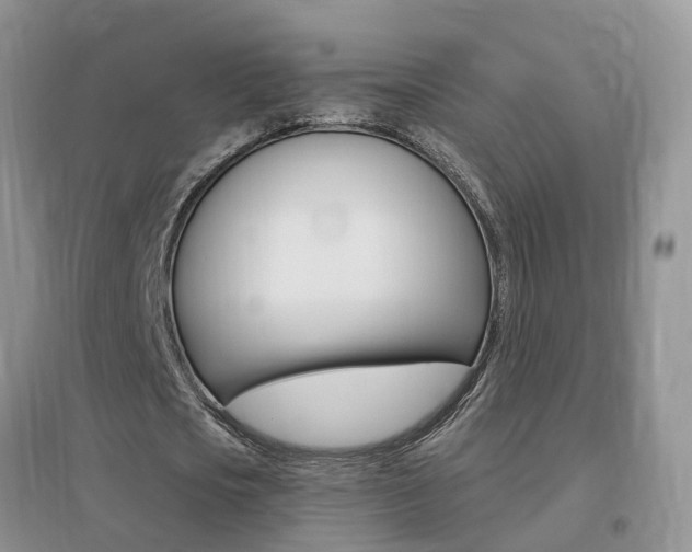 X0000096950721200802080920