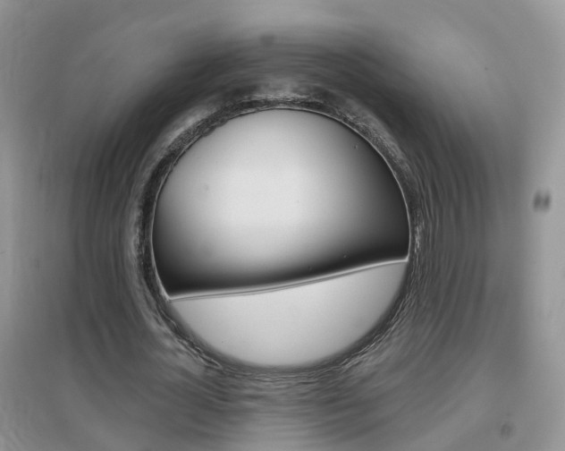 X0000096950724200802080920
