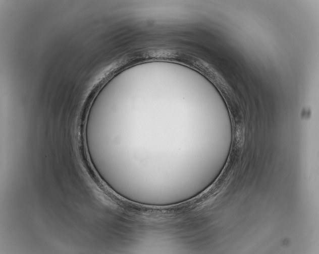 X0000096950725200802080920