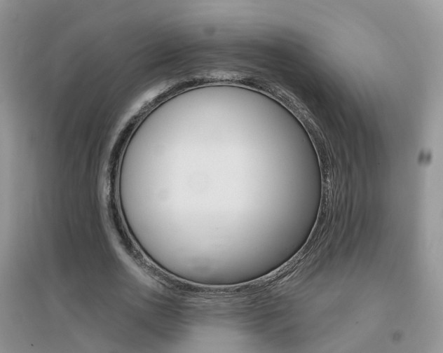 X0000096950726200802080920