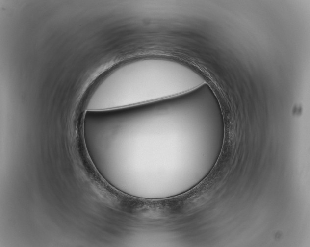 X0000096950727200802080920