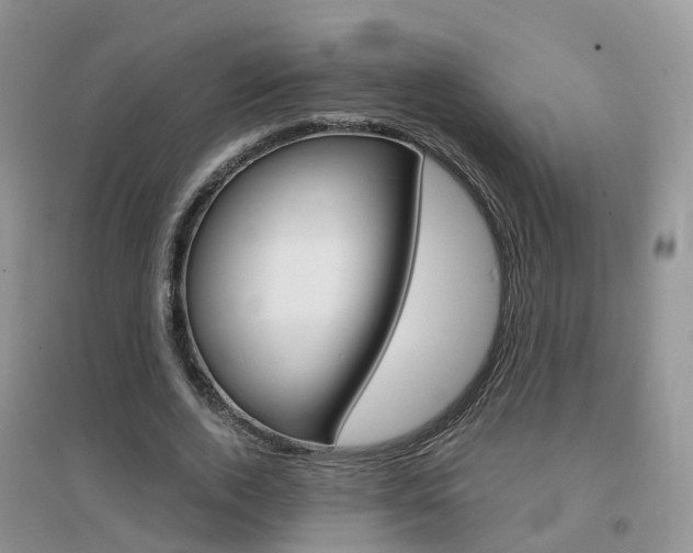 X0000096950728200802080920