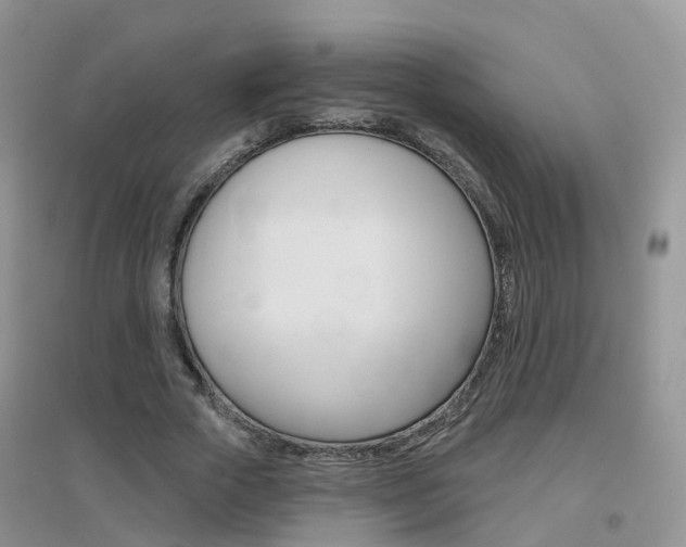 X0000096950729200802080920