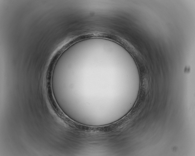 X0000096950730200802080920
