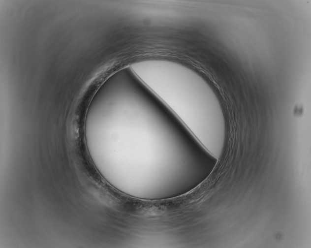X0000096950731200802080920