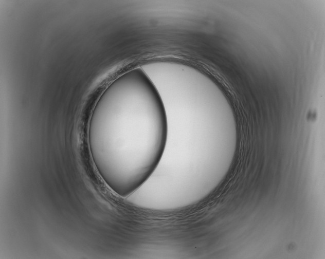 X0000096950732200802080920