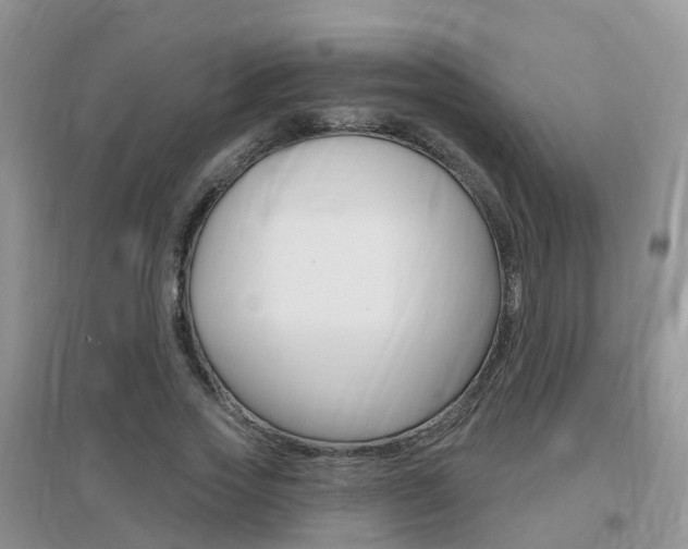 X0000096950733200802080920